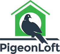 PigeonLoft.online